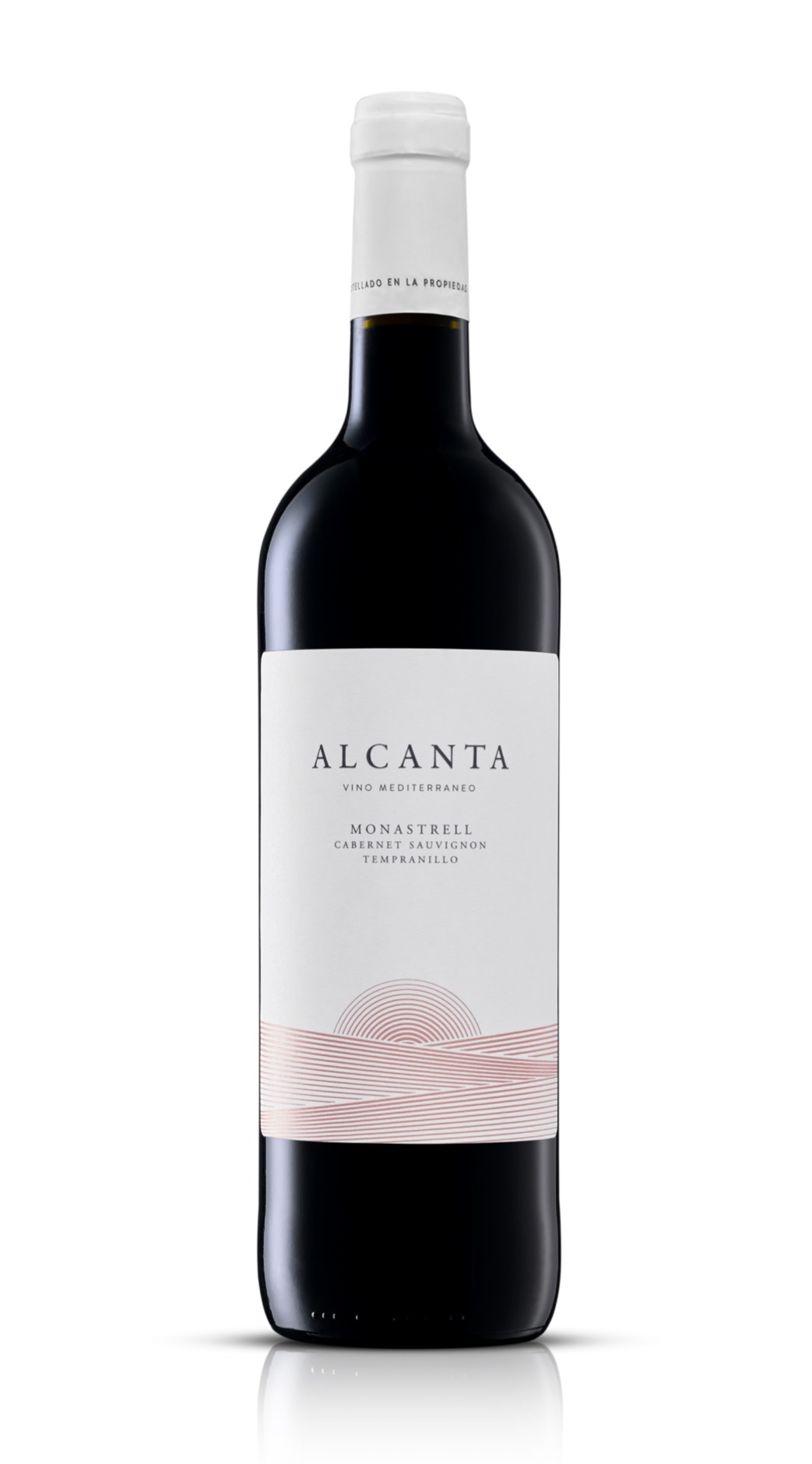 Bodega Bocopa / Alcanta Tinto rot (Monastrell, Cabernet Sauvignon, Tempranillo), 2025